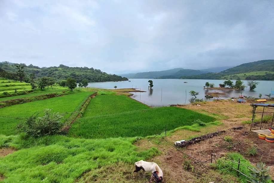 Panshet Dam  | 10 KM